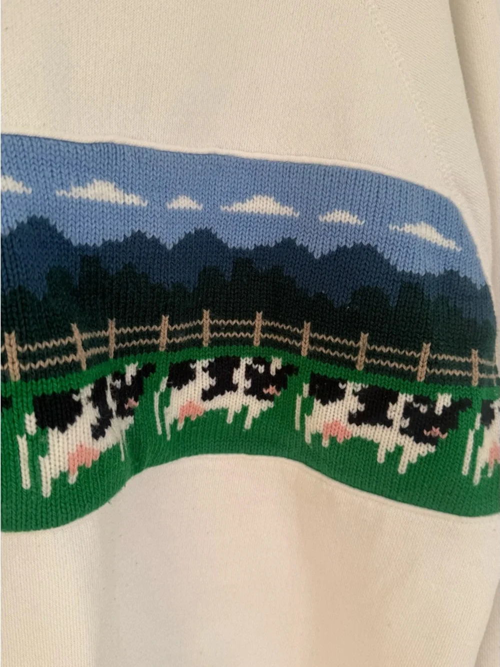 VINTAGE White Crewneck Sweater with Green Collar and Pastoral Knit Panel - Picture 6 of 8